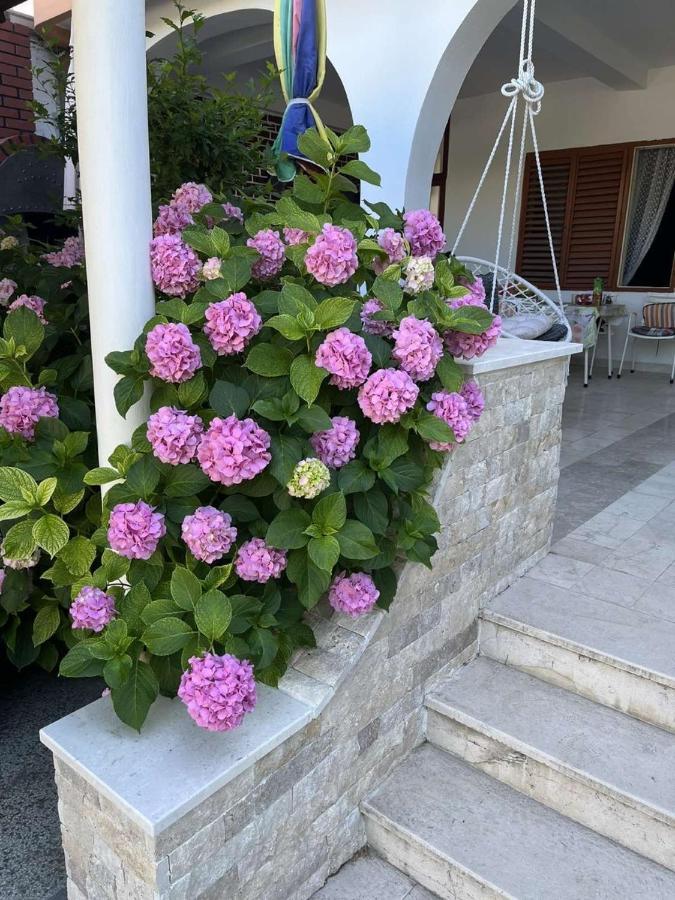 Studio Rooms Moncherie Ulcinj Eksteriør bilde